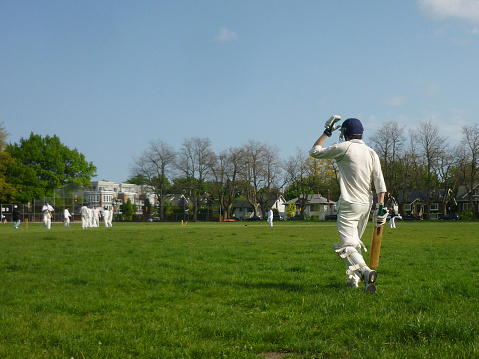 The Influence of Social Media on Cricket: Players, Fans, and Brands