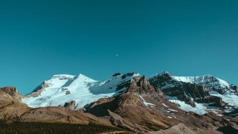 How To Play Games On Cricbet99 Site?